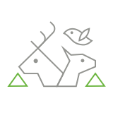 Scrum Zoo